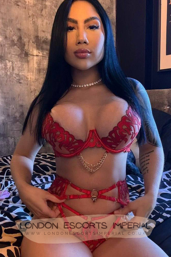 London Escort Girl Trio 34D