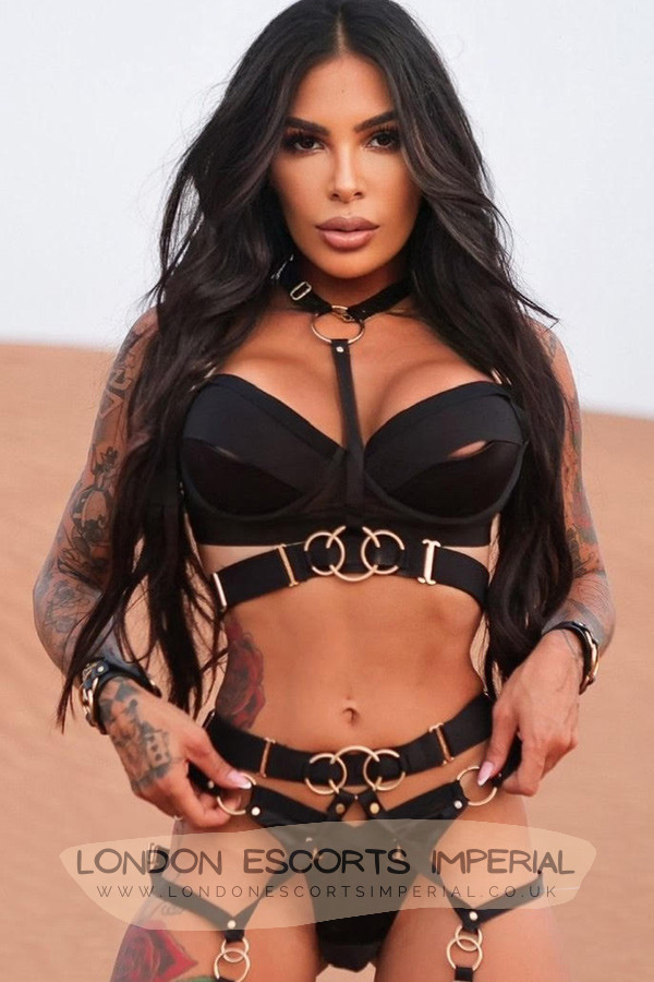 London Escort Girl Full Service 34D