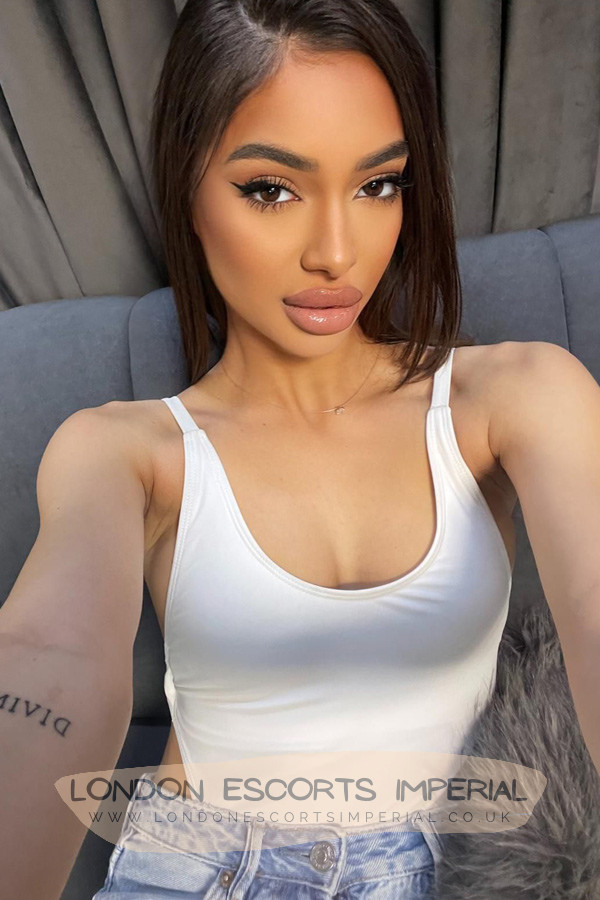 London Escort Girl Party 32B