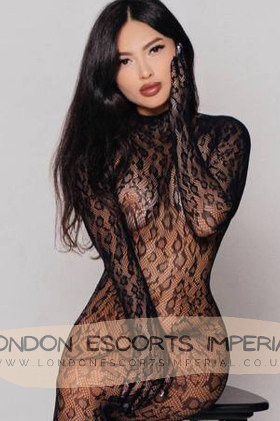 London Escort Girl Available 34C