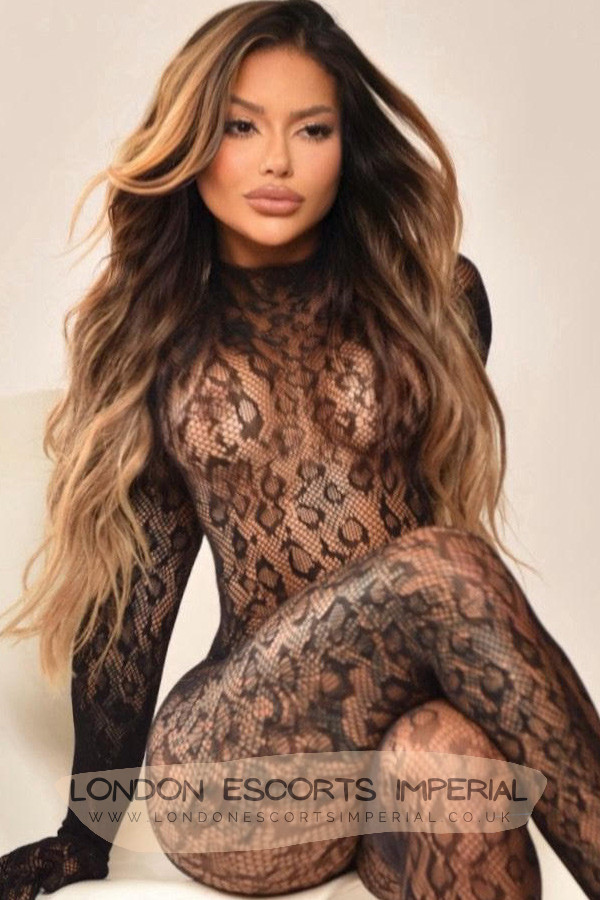 London Escort Girl Short 34C