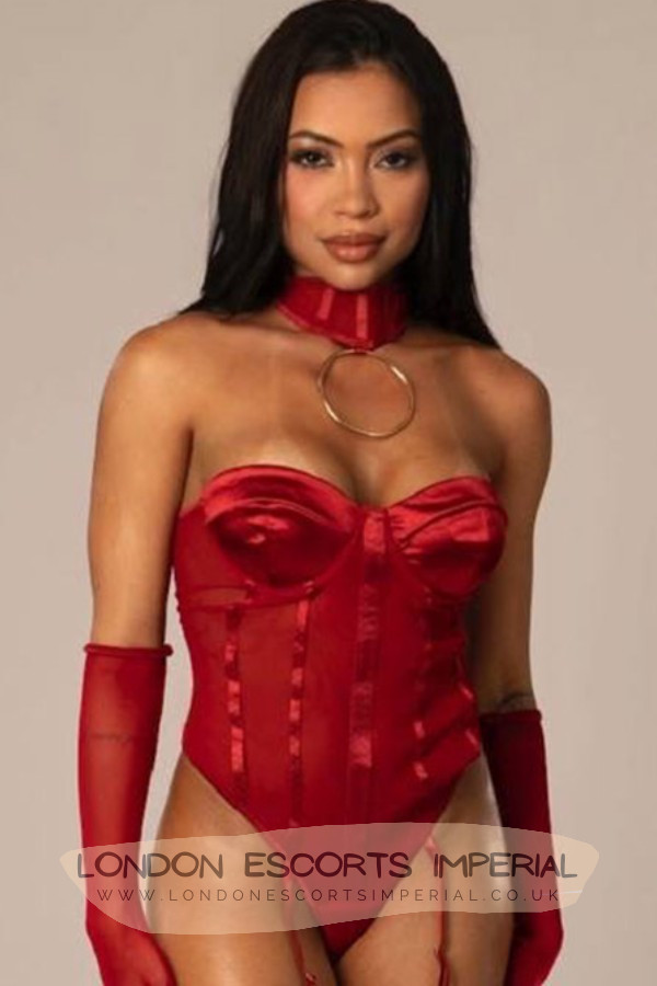 London Escort Girl Blow And Go 34C