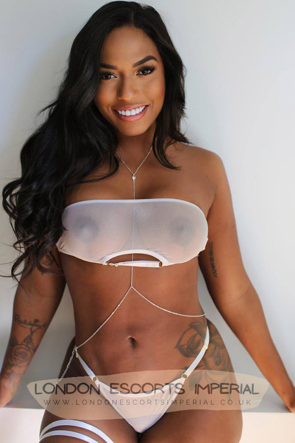 London Escort Girl Mulatto 34B