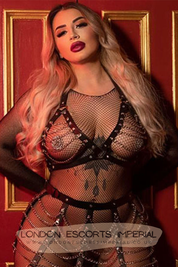 London Escort Girl Curvy 38DD