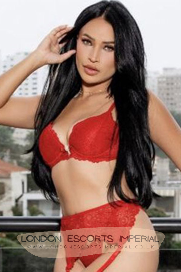 London Escort Girl New 34C