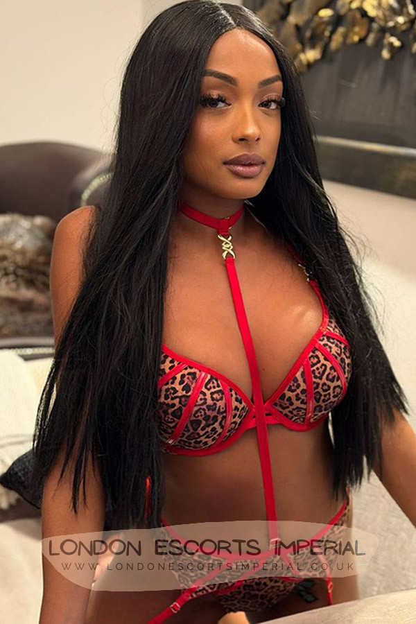 London Escort Girl Creampie Ebony 34B